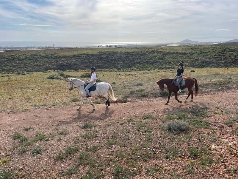 1 hour relaxing horse riding tour in Gran Canaria - Key Highlights You’ll Actually Feel During This Ride