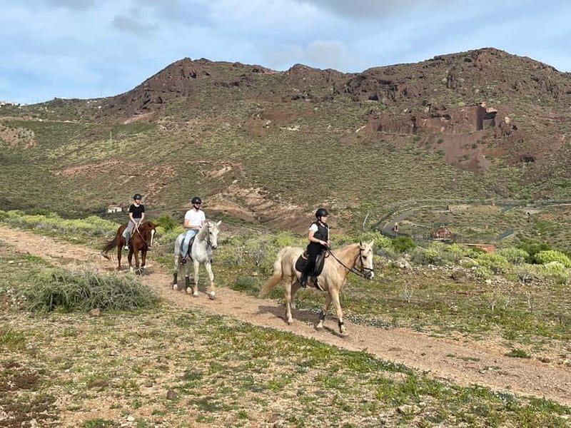 1 hour relaxing horse riding tour in Gran Canaria - Finding the Barn and Getting Started the Right Way