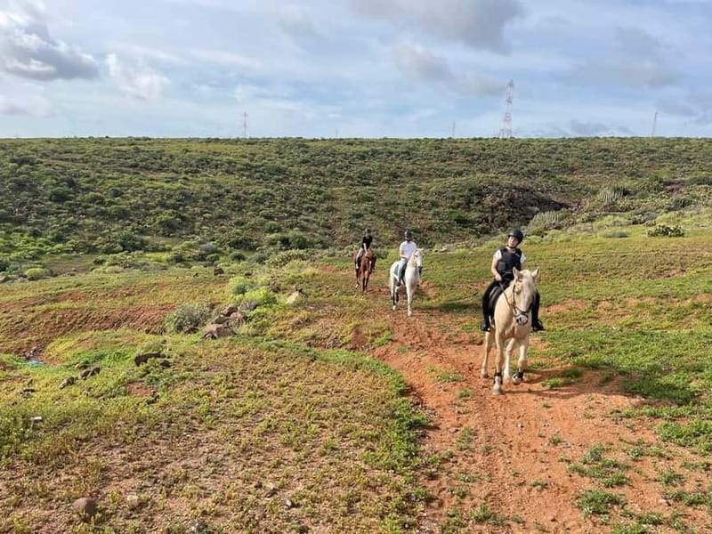 1 hour relaxing horse riding tour in Gran Canaria - The Countryside Tour: Calm Horses With East-Coast and Mountain Views