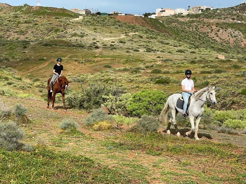1 hour relaxing horse riding tour in Gran Canaria - Small Group Size and Instructor Support That Helps Beginners
