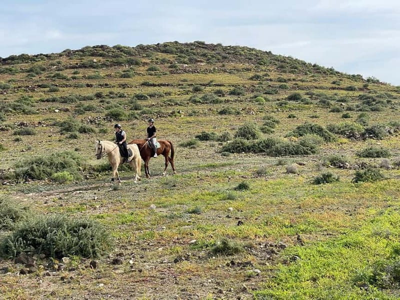 1 hour relaxing horse riding tour in Gran Canaria - Should You Book This Gran Canaria Horse Riding Tour?