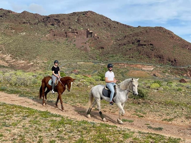1 hour relaxing horse riding tour in Gran Canaria - FAQ