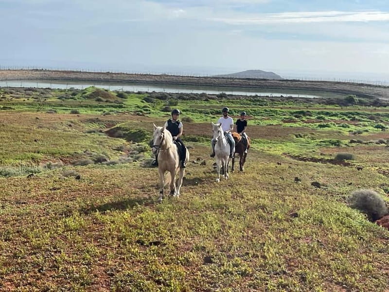 1 hour relaxing horse riding tour in Gran Canaria - Helmet, Back Protector, and the First Riding Lesson