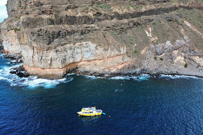 1h Boat Trip + 2h Dockside Local Wine & Food Tasting - On-board tasting in the port: Canarian wine and local plates