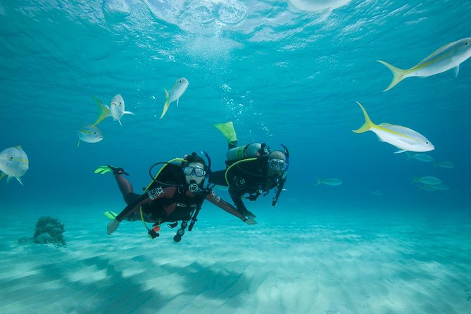 2 Day PADI Scuba Diver Course in Puerto Rico, Gran Canaria - Blue Water Diving’s 2-day PADI plan: what $390.52 really buys