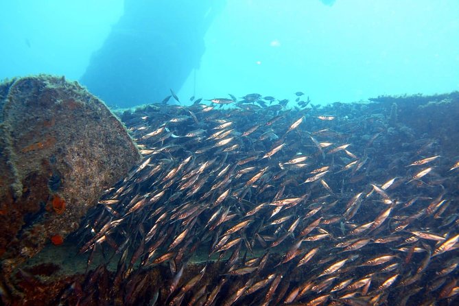 2 Dive Package for PADI Qualified Divers in Gran Canaria - Getting there and starting at 8:30: transfers and timing you can trust