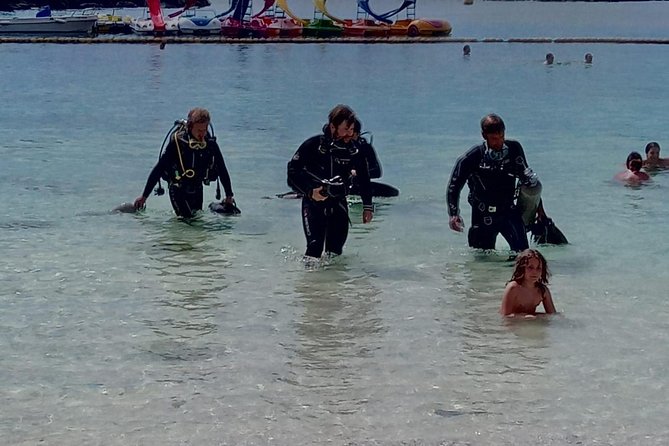 2 Dive Package for PADI Qualified Divers in Gran Canaria - What you’re likely to see: marine life moments that people remember