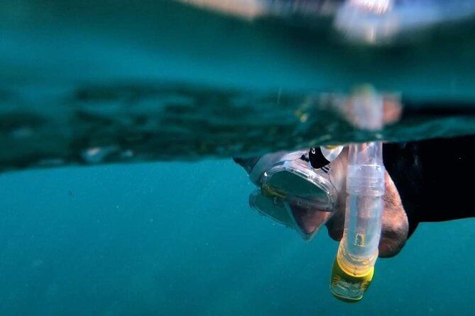 2-Hour Afternoon Snorkeling Experience in Gran Canaria by Boat - The 2:30 pm timing that works for most Gran Canaria days