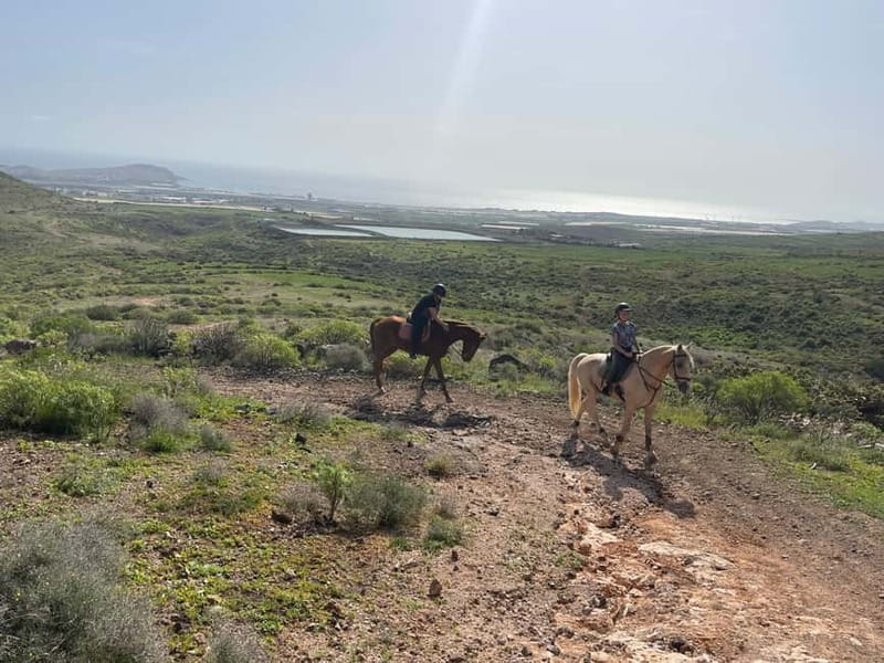 2 hours Green Mountains Horse Riding Tour - The Details That Make It Feel Smooth