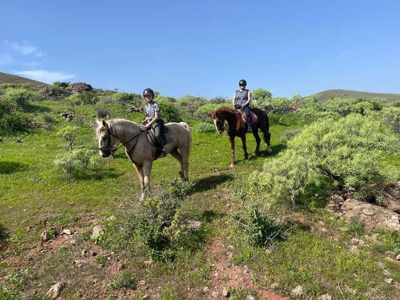 2 hours Green Mountains Horse Riding Tour - Horse Riding Canaria Barn: Getting Set Up Fast in Ojos de Garza