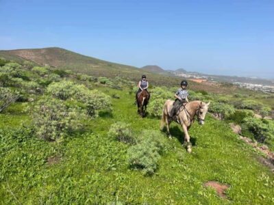 2 hours Green Mountains Horse Riding Tour - The 15-Minute Training in Telde Before You Ride