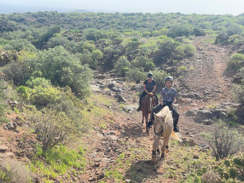 2 hours Green Mountains Horse Riding Tour - Two Route Choices: Cave Country and Ancient Village Views