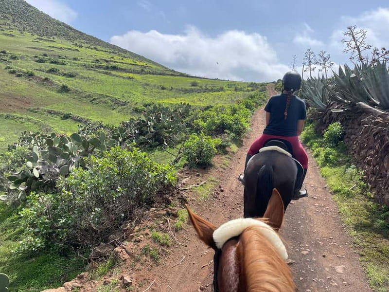 2 hours Green Mountains Horse Riding Tour - Pacing and Control: When You’ll Stroll vs. Trot or Canter