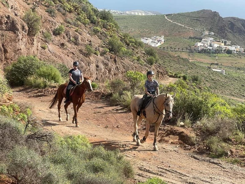 2 hours Green Mountains Horse Riding Tour - Price and Value: Is $96 Worth It for Two Hours?