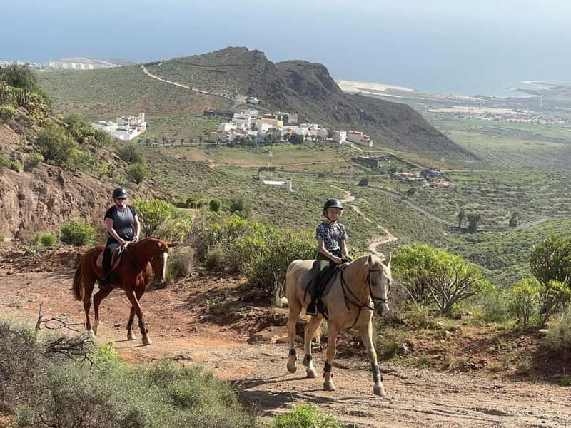 2 hours Green Mountains Horse Riding Tour - What to Bring (and What You Can Skip)