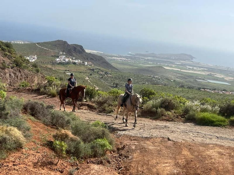 2 hours Green Mountains Horse Riding Tour - Who This Horse Riding Tour Suits Best