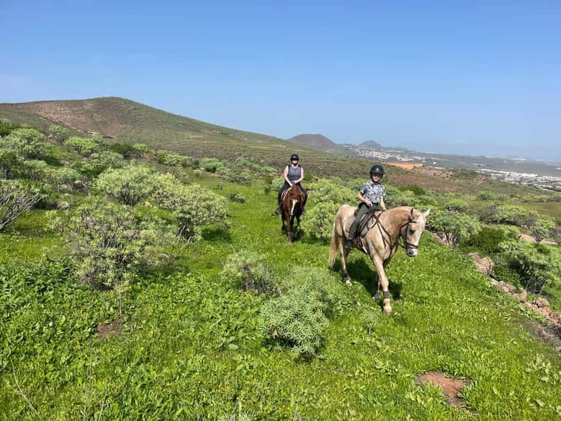 2 hours Green Mountains Horse Riding Tour - The 15-Minute Training in Telde Before You Ride