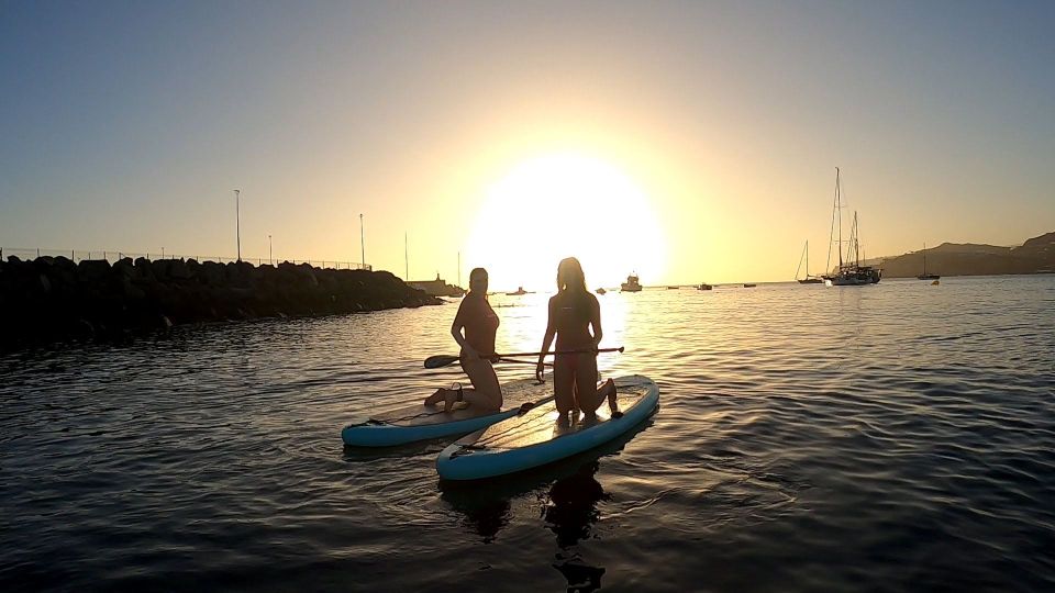 2h Sunset Paddle Board Session in Gran Canaria - The Sea Session: Wildlife Glimpses and How to Read the Water