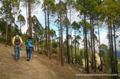 3-Hour Hiking Experience in Roque Nublo - The drive and the stopovers: Degollada, Fataga, and more