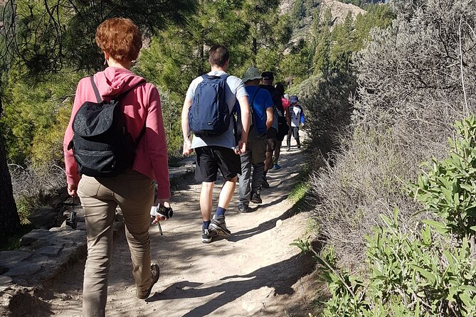 3-Hour Hiking Experience in Roque Nublo - Price and logistics: what you’re really paying for
