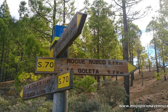 3-Hour Hiking Experience in Roque Nublo - Who this hike suits best (and who might feel it’s too much)