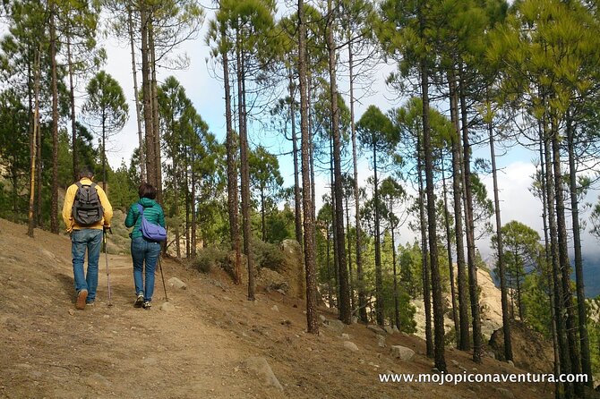 3-Hour Hiking Experience in Roque Nublo - The drive and the stopovers: Degollada, Fataga, and more