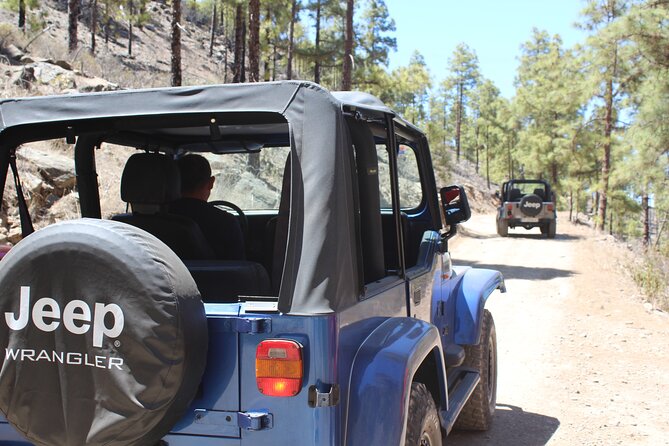 Adventure Driving Jeep Tour in Gran Canaria - Morning Off-Road: What the 9:30 Start Really Means