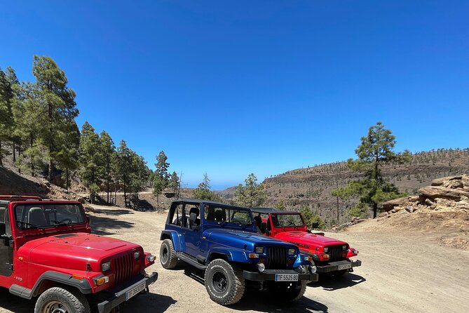 Adventure Driving Jeep Tour in Gran Canaria - Best Fit: Who This Jeep Tour Will Feel Great For
