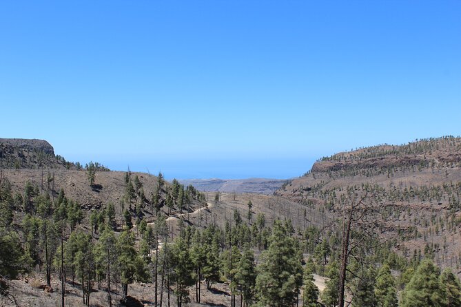Adventure Driving Jeep Tour in Gran Canaria - Should You Book This Jeep Adventure?