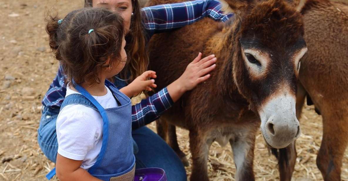 Agüimes : Be a farmer for the day at La Jaira de Ana - What You’re Actually Buying: 2.5 Hours of Real Farm Life