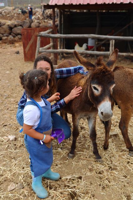 Agüimes : Be a farmer for the day at La Jaira de Ana - Getting There and Starting on Time at La Jaira de Ana