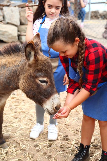 Agüimes : Be a farmer for the day at La Jaira de Ana - Who This Farm Experience Fits Best
