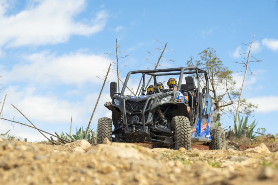 Anfi beach: Guided Buggy Tour. - Key things to know before you go
