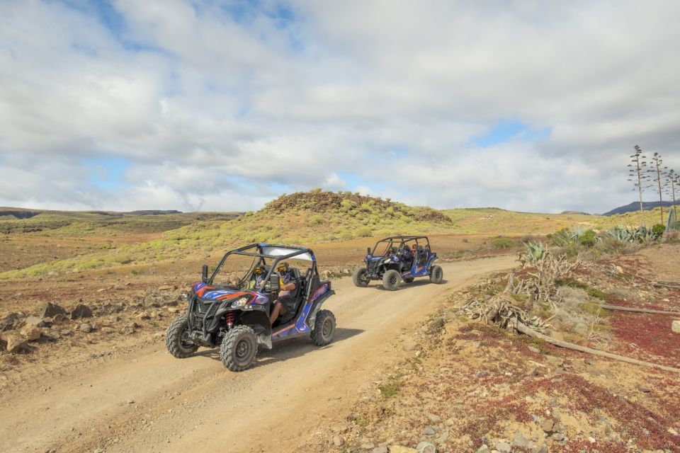 Anfi beach: Guided Buggy Tour. - Practical tips to get the most out of the dirt-road part