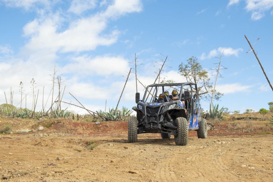 Anfi beach: Guided Buggy Tour. - The driving tutorial that makes the tour feel safe