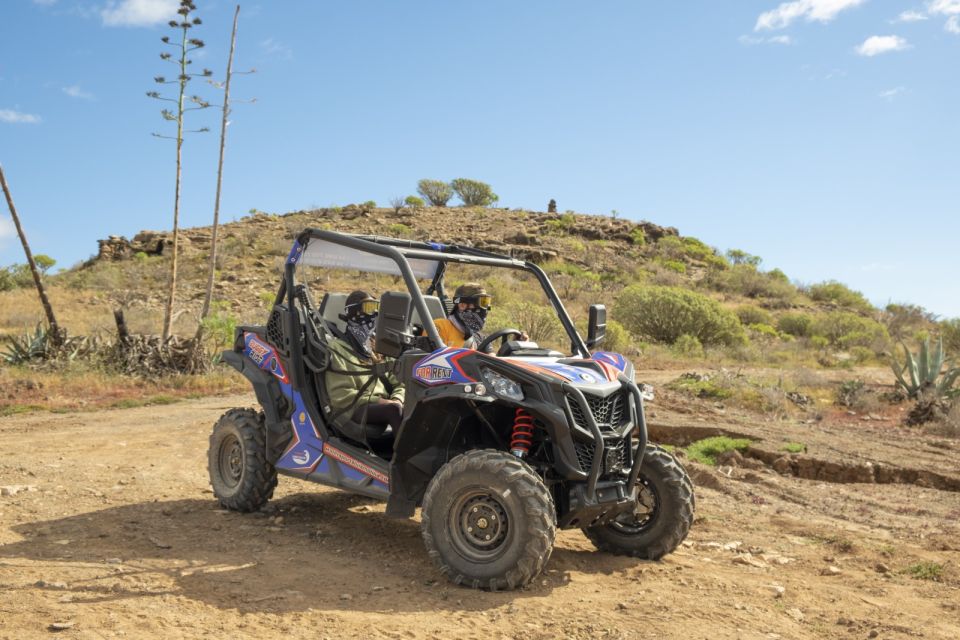Anfi beach: Guided Buggy Tour. - Who should book this buggy tour (and who should skip it)