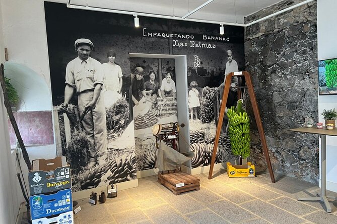 Banana Museum, Rum Distillery & Winery with Tasting: Premium tour - Agaete lunch break: use the hour well