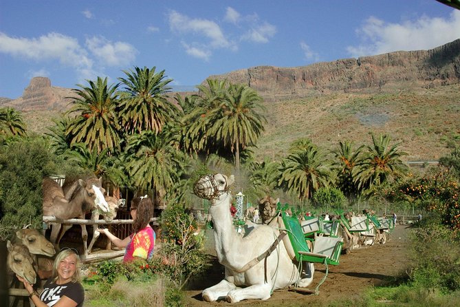 Camel Ride in Fataga with Tapas and drinks - Entering Camel Safari Park La Baranda in Fataga