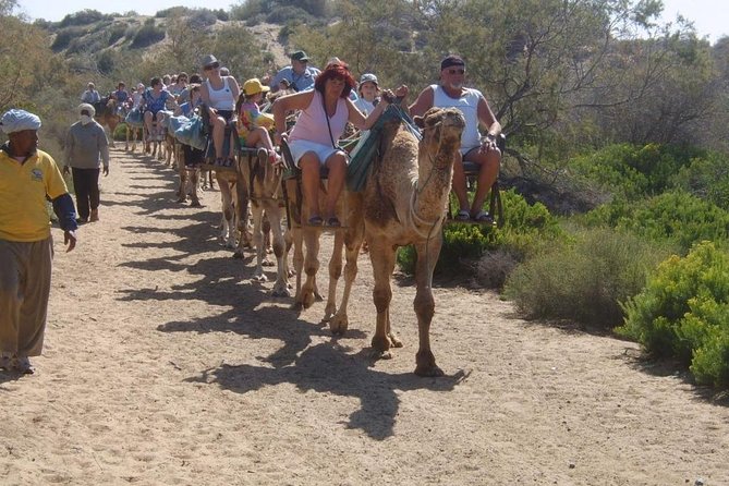 Camel Riding in Maspalomas Dunes - Who This Fits Best: Families, First-Timers, and Worried Riders