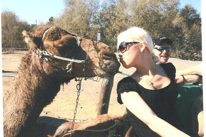 Camel Safari through the Dunes of Maspalomas - Key things to know before you ride the Maspalomas dunes