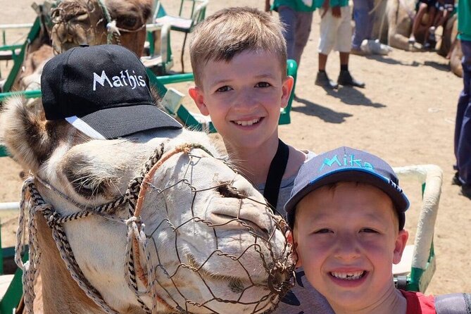 Camel Safari through the Dunes of Maspalomas - At the Station in Maspalomas: Meeting Point, Setup, and What You’ll Actually Do
