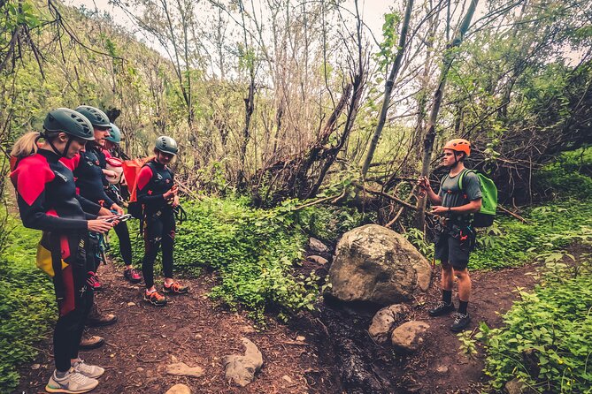 Canyoning with Waterfalls in the Rainforest - Small Groups ツ - Rainforest Canyoning on Gran Canaria: What You’re Really Signing Up For