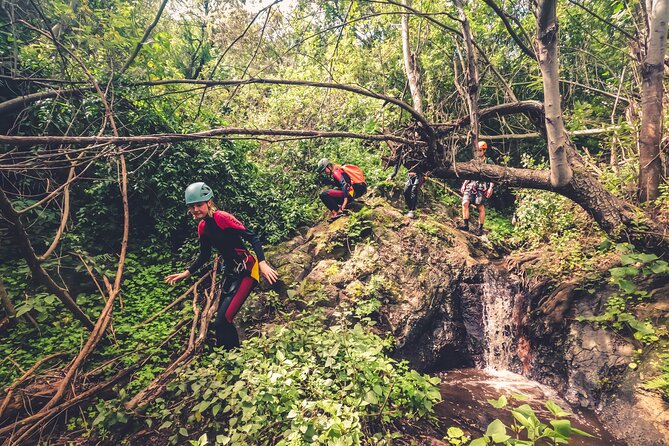 Canyoning with Waterfalls in the Rainforest - Small Groups ツ - Inside the Canyon: Walking, Jumps, Climbing, and Abseiling