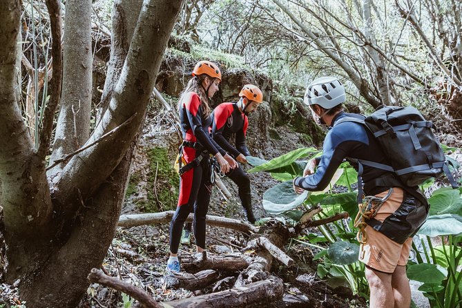 Canyoning with Waterfalls in the Rainforest - Small Groups ツ - Price and Value: Why This Costs $102.19 (and What You Get)