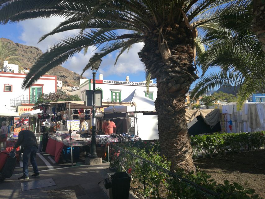 City Treasures Unveiled: 3.5-Hour Las Palmas Cab & Walking - Vegueta Old Town: pirates, Columbus, and the Cathedral corridor