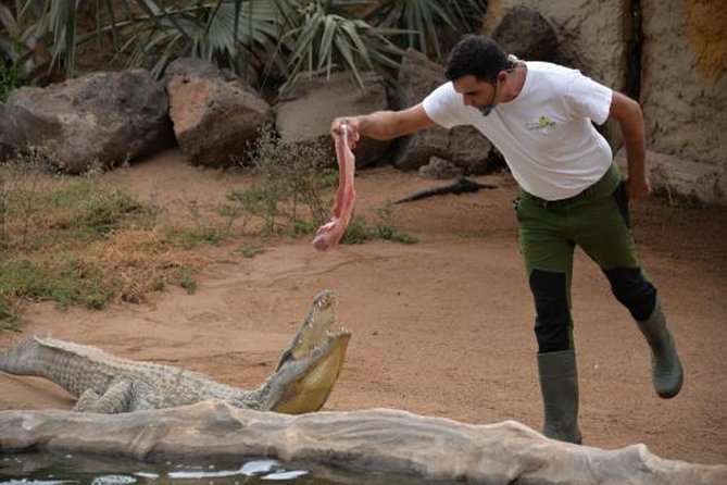 Cocodrilo Park Zoo Admission Ticket in Agüimes - Cocodrilo Park in Agüimes: what kind of animal visit is it?
