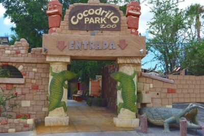 Cocodrilo Park Zoo Admission Ticket in Agüimes - What you’ll actually see: animals, reptiles, and that alligator focus
