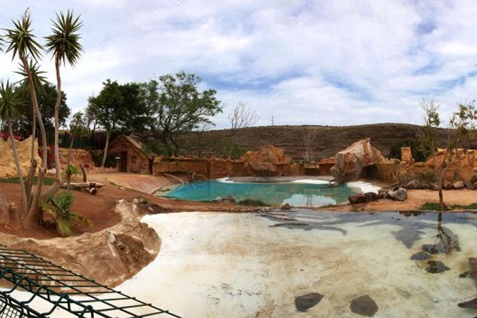 Cocodrilo Park Zoo Admission Ticket in Agüimes - Who should book this, and who might want a different plan?