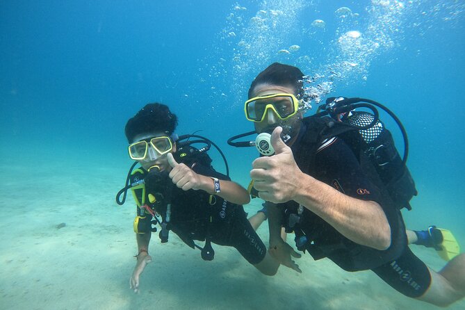 Discover Scuba Dive in Gran Canaria - Marine Life You’ll Look For Along the Gran Canaria Coast