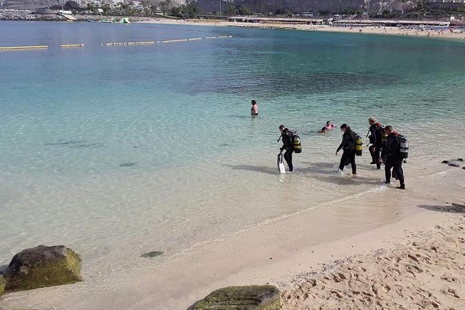 Discover Scuba diving in Gran Canaria with Hotel Pick-up - Instructors: James and Paulo set the tone for nervous first-timers